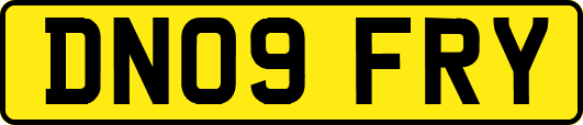 DN09FRY