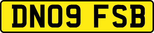 DN09FSB