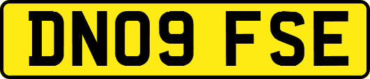 DN09FSE
