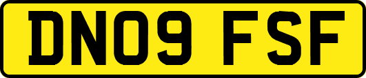 DN09FSF