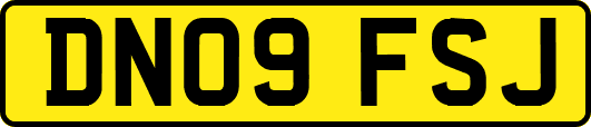 DN09FSJ