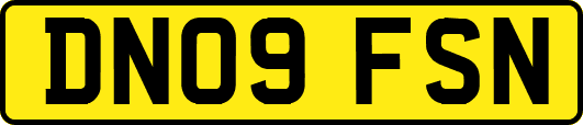 DN09FSN