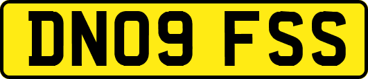 DN09FSS
