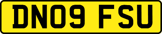 DN09FSU