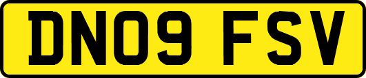 DN09FSV