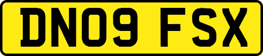 DN09FSX