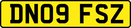 DN09FSZ