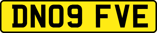 DN09FVE