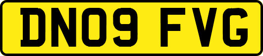 DN09FVG