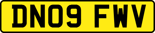 DN09FWV