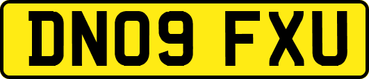 DN09FXU
