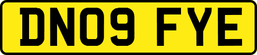 DN09FYE