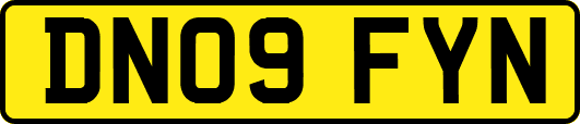 DN09FYN