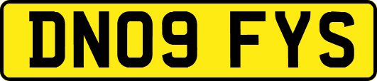 DN09FYS