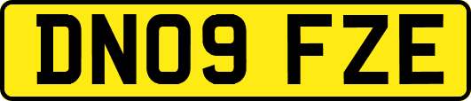DN09FZE