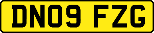 DN09FZG