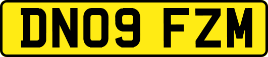 DN09FZM