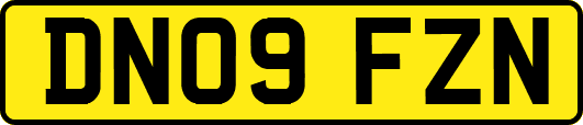 DN09FZN