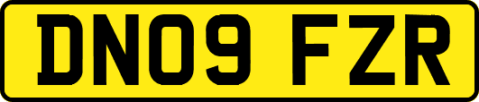 DN09FZR