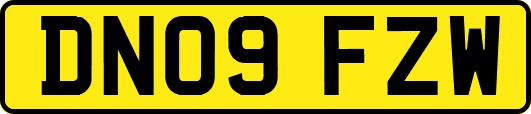 DN09FZW