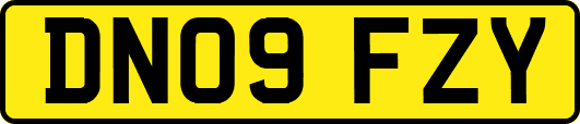 DN09FZY