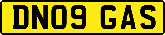 DN09GAS