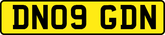 DN09GDN