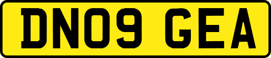 DN09GEA