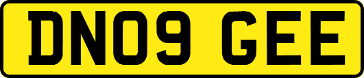 DN09GEE