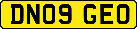 DN09GEO