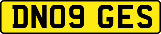 DN09GES