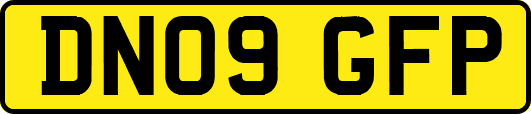 DN09GFP