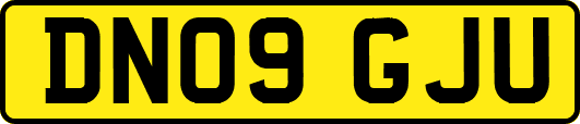 DN09GJU