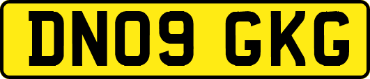 DN09GKG