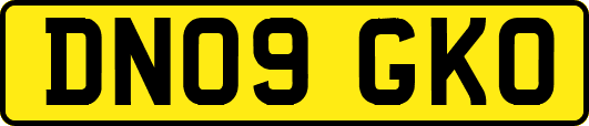 DN09GKO