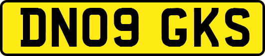 DN09GKS