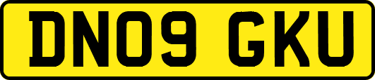 DN09GKU