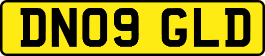 DN09GLD