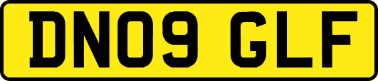 DN09GLF