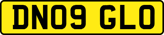 DN09GLO