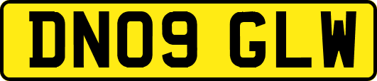 DN09GLW