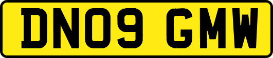 DN09GMW