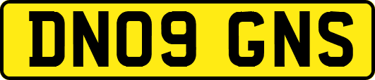 DN09GNS