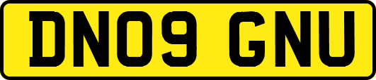 DN09GNU