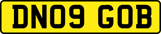 DN09GOB