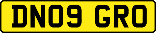DN09GRO