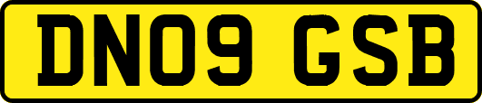 DN09GSB