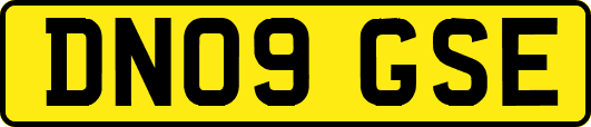 DN09GSE