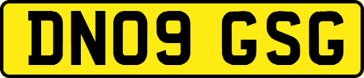 DN09GSG