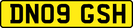DN09GSH